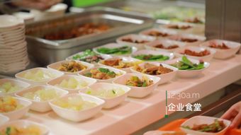 太太樂(lè)發(fā)力餐飲服務(wù)，瞄準(zhǔn)團(tuán)餐萬(wàn)億藍(lán)海市場(chǎng)